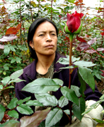 ROSAS CULTIVADAS para un mercado importante importadas directamente para floristerias, florerias y floristas en Estados Unidos y Canada, vendemos a PRECIOS DE CULTIVOS rosas rojas, rosas amarillas y blancas ademas de orquideas, tropicales,... Rosas y Flores en Los Angeles California ofrece flores y rosas al por mayor. Servimos California con flores y rosas de primera calidad para florerias y floristerias de Estados Unidos y Canada. Orquideas, flores y rosas de calidad a precios al por mayor