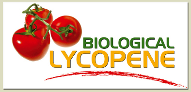 Lycopene manufacturing suppliers... Italian biological and organic Lycopene designed and made in Italy with the most powerful red tomatoes... Biological lycopene may prevent prostate cancer, heart disease and other forms of cancer... Biological Lycopene manufacturing solutions to the worldwide health care distribution market..