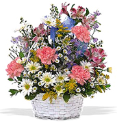 New born arrangements... IT's A BOY in a basket with the most fresh flowers of the USA... Very VIP flowers arrangement for your special occassion in USA, flowers, red roses, yellow roses, pink roses, orange roses, white roses, callas, orchids, bouquets, exotics and tropical flowers from Miami Florida to all the United States of America... Caballero flowers, American flowers shop, offers a great and VIP arrangements for DELIVERY to houses, office, funeral, hospital, business, schools in all the USA... Enjoy our online services we will schedule your order and deliver on time...