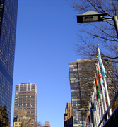 La Division de Negocios Internacionales de la ciudad de Nueva York es parte de la Comision Consular y Protocolo de las Naciones Unidas (UNCCP). Ubicada en la oficina del Alcalde de Nueva York la UNCCP sirve como enlace primario entre el Gobierno de Nueva York y la mas grande comunidad diplomatica del mundo, incluyendo las Naciones Unidas, 192 Misiones Permanentes de las Naciones Unidas, 105 Consulados y respectivas camaras de Comercio en New York City