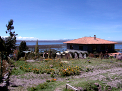 Vacations in Titicaca lake in our Chucuito village, located at 15 km of Puno, is the old capital of the LUPACA TAMBU an Aymara state... Live with us Be our guest in our village, in our houses, in our lake hotel, We will share you, our Aymara culture, incas food, textile knowledgement, music, artcrafts, Titicaca Lake sports, Uros tours, folklore party, Andes music... all included maintaining our passion for the Mamapacha and our environment, support our village enjoing your Peruvian vacations