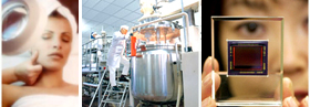 Estados Unidos de America, USA business guide es una lista de fabricantes, productores y comerciantes Americanos certificados, maquinas, ropa de moda, cosmeticos, joyas, muebles, electronica, equipos industriales,... para vender en los Estados Unidos de America y el mercado mundial...