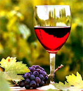 Productores y distribuidores de vinos al por mayor, vino rojo y blanco, fabrica bebidas para los Estados Unidos de America, produccion de uva, distribucion de vino y bebidas al por mayor en USA y Latino America...