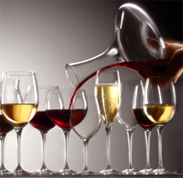 Productores y distribuidores de vinos al por mayor, vino rojo y blanco, fabrica bebidas para los Estados Unidos de America, produccion de uva, distribucion de vino y bebidas al por mayor en USA y Latino America...