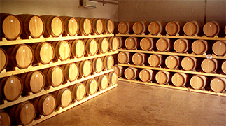 Almacenamiento perfecto para preservar la original calidad de nuestras uvas... La presentacion de nuestra coleccion de vinos esta estudiada para resaltar la Calidad de Nuestros VINOS... somos una empresa de Brindisi en el Salento Italia y seleccionamos las mejores uvas de nuestra produccion para nuestros vinos Lomazzi & Sarli ahora con nueva tecnologia para ayudar los distribuidores de vinos en el mundo... Descubre el  Gusto del vino Italiano con vinos tinto Primitivo Latias, Imperium Chardonnay, Negroamaro, Irenico Salice Salentino, Bocciolo Novello, Solice Rosato, Partemio Malvasia Bianca...